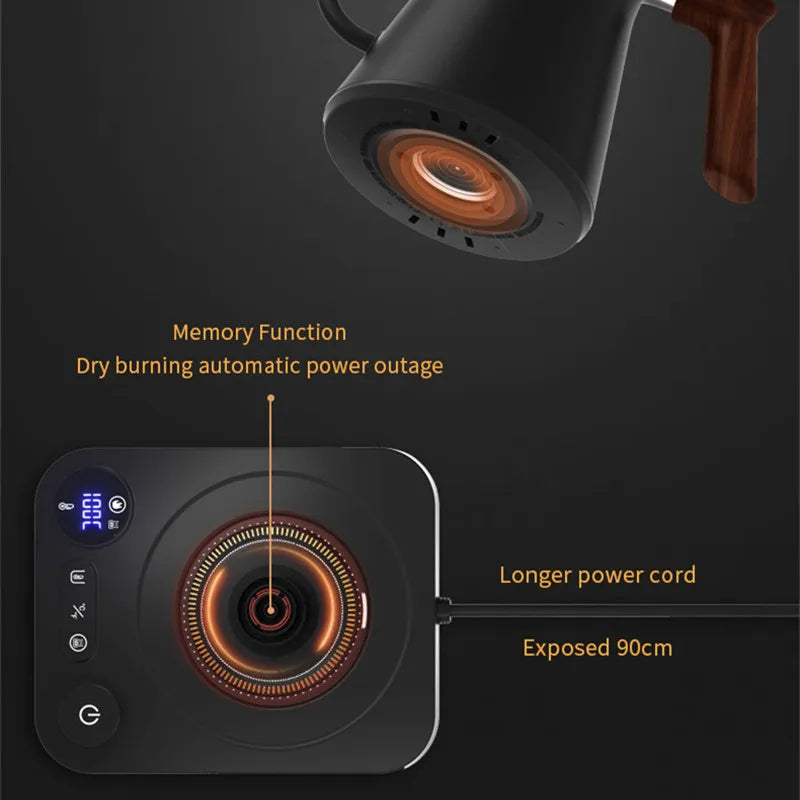 Electric Gooseneck Kettle