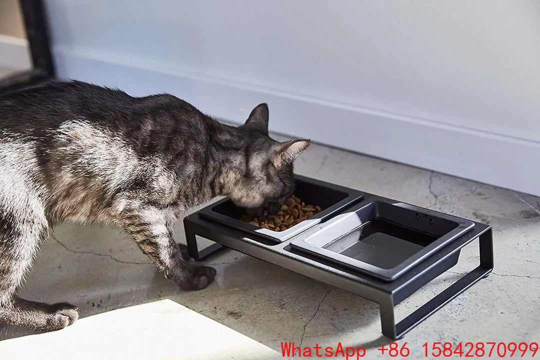 Cat plate double bowl cat pet supplies