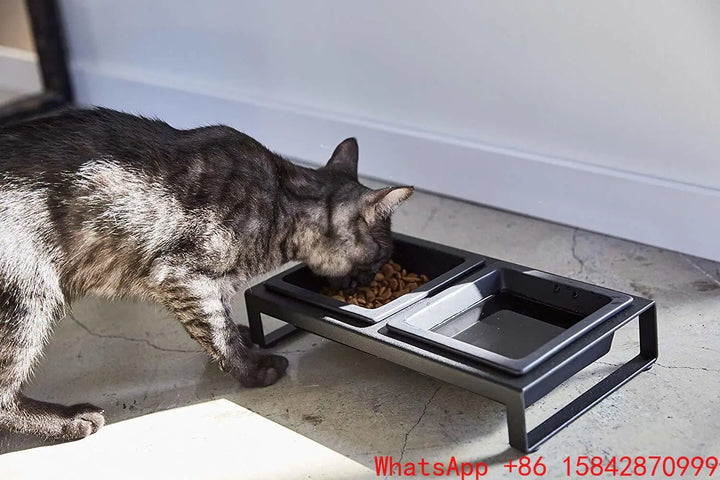 Cat plate double bowl cat pet supplies