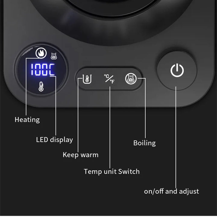 Electric Gooseneck Kettle