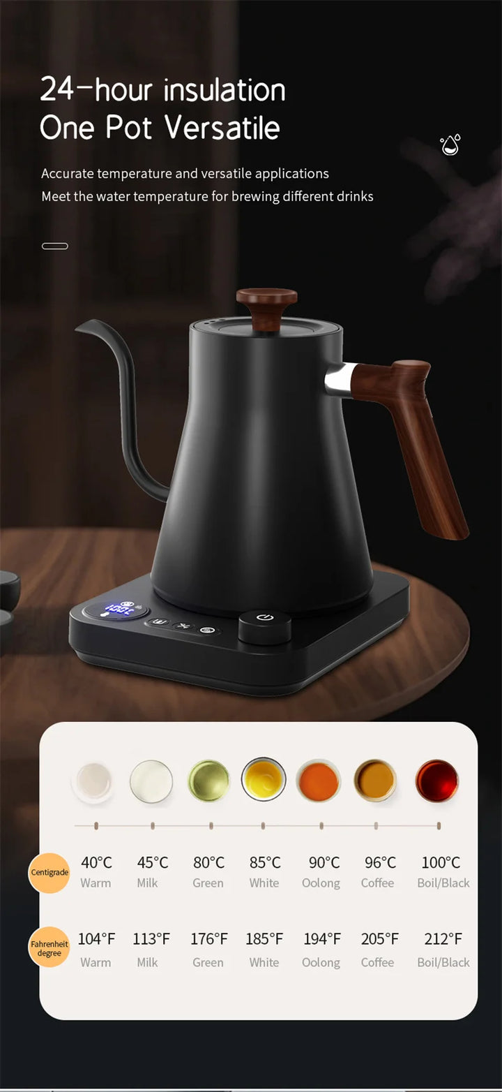 Electric Gooseneck Kettle