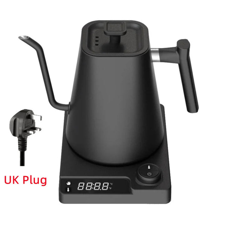 Electric Gooseneck Kettle