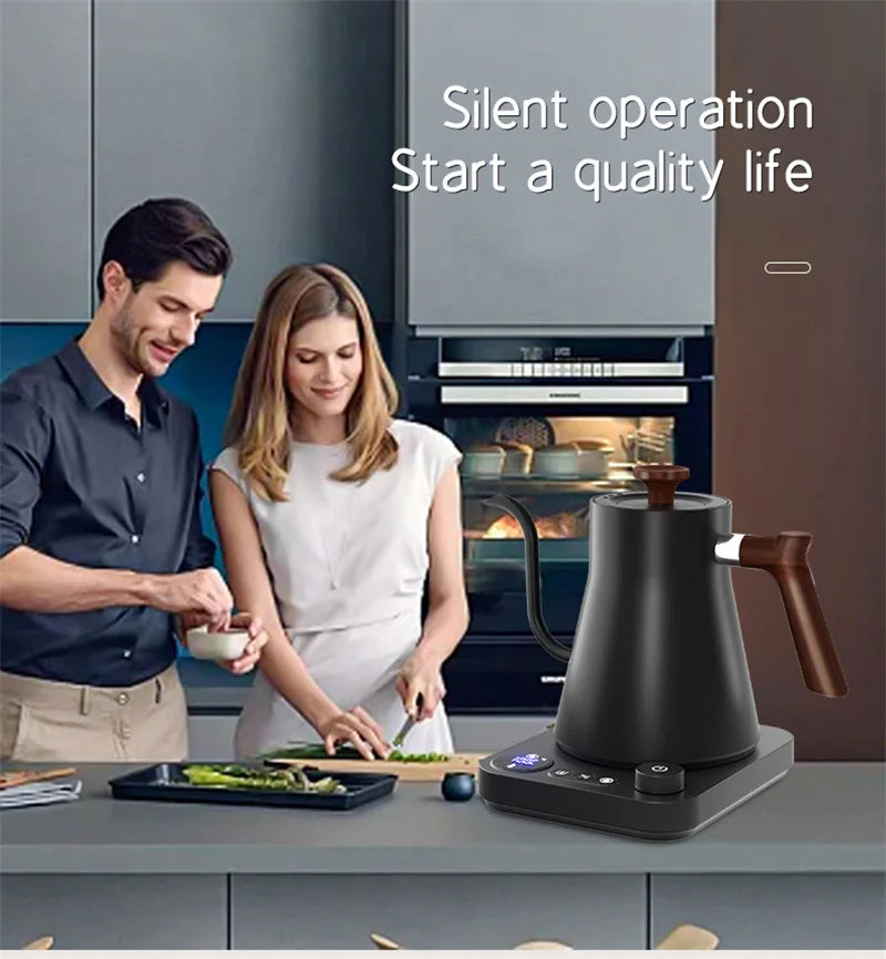 Electric Gooseneck Kettle