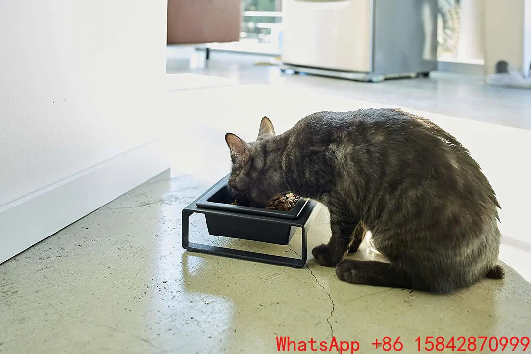 Cat plate double bowl cat pet supplies