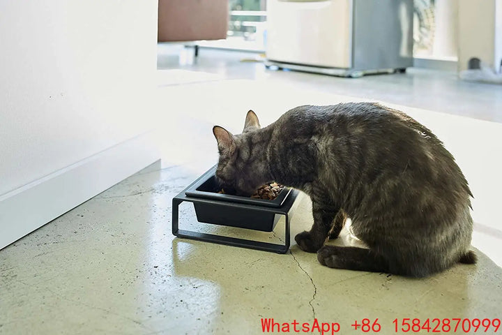 Cat plate double bowl cat pet supplies