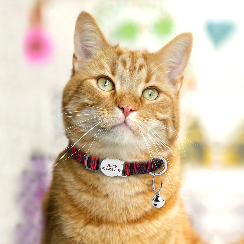 Personalized Cat Collar – Adjustable with Bell & Engraved ID Tag