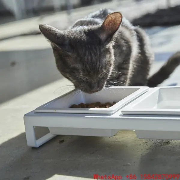 Cat plate double bowl cat pet supplies