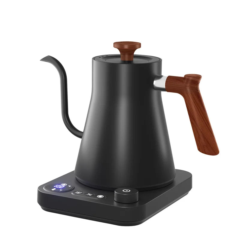 Electric Gooseneck Kettle