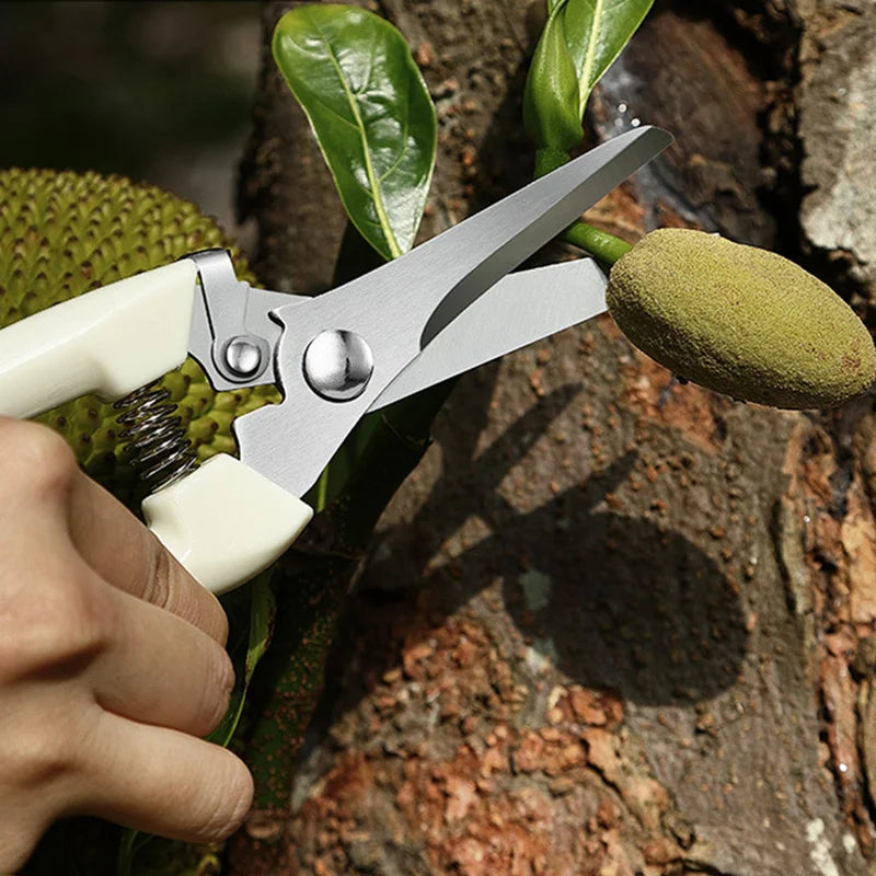 Professional Garden Pruning Scissors – Trimmer Knife for Flowers & Fruit Trees