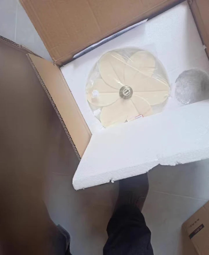 Petal Flower Wall Lamps for Children's Room Princess Bedroom Girl's Bedside Light Romantic LED Glass Flower Design Nursery Lighting