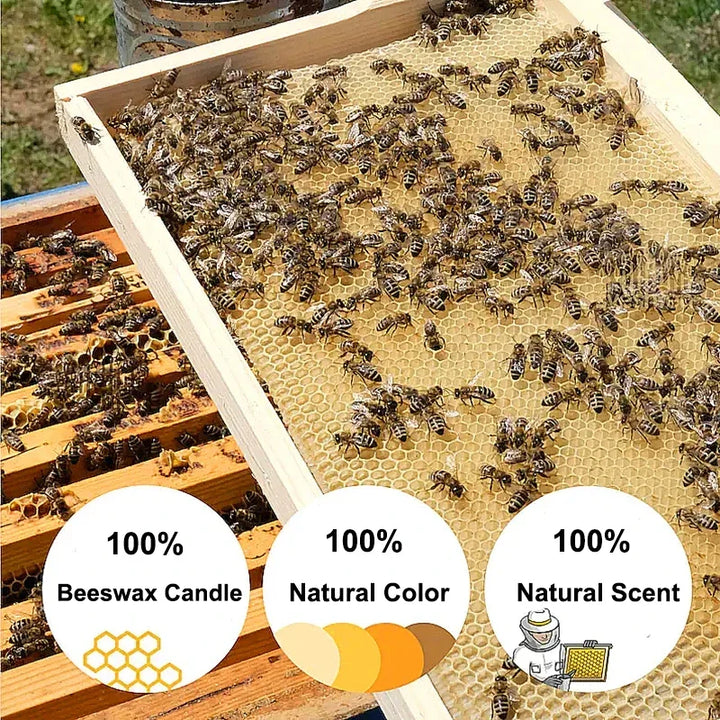 25PCS Natural Beeswax Hanukkah Candles – Thin Tapered, Unscented Honey Wax for Rituals & Celebrations