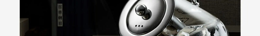 Heat Resistant Glass Teapot 401-500ml with Stainless Steel Tea Strainer Infuser Kung Fu Tea Set for Puer Oolong Flower Kettle