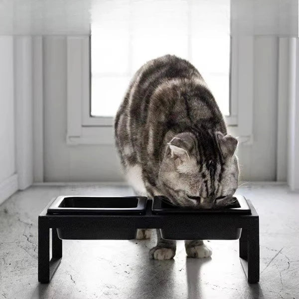 Cat plate double bowl cat pet supplies