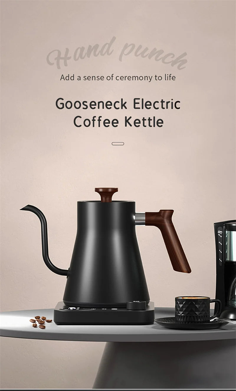 Electric Gooseneck Kettle