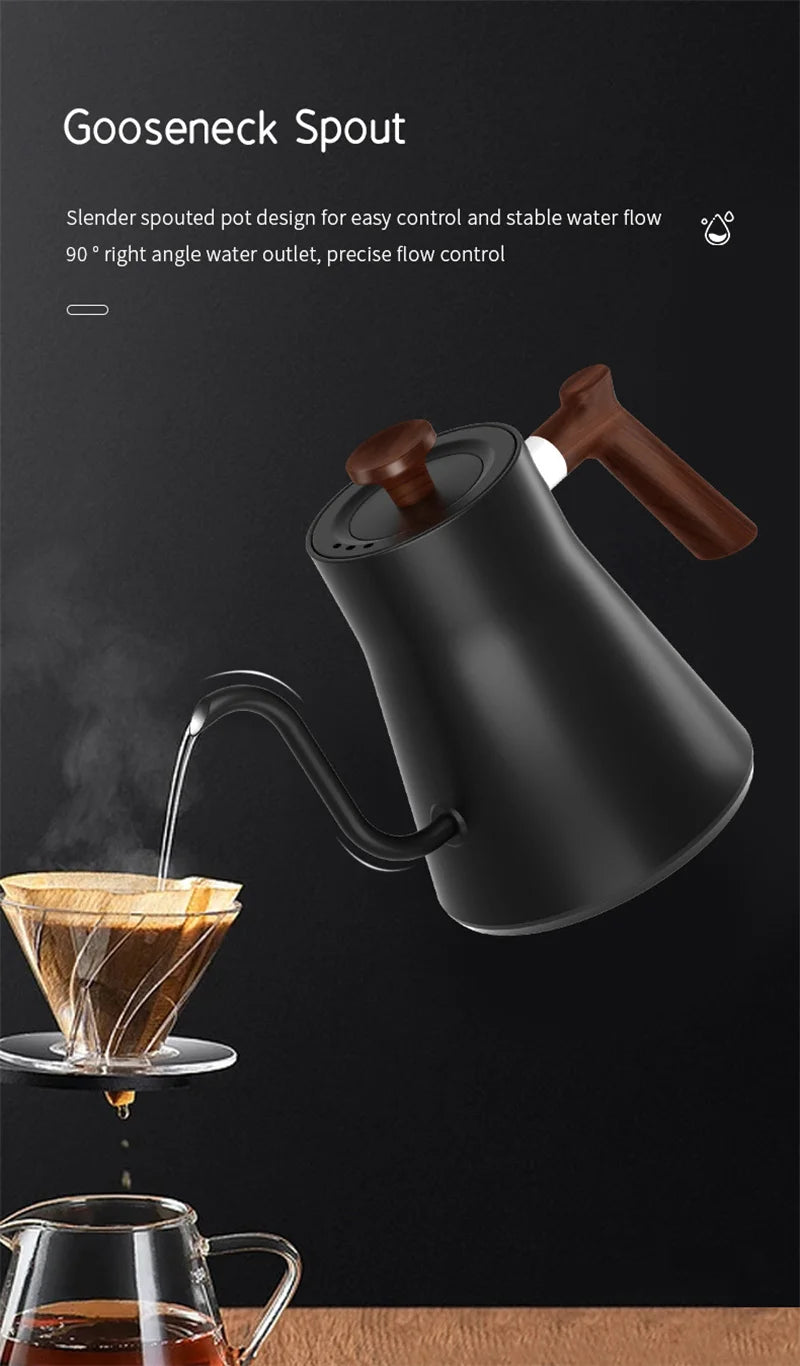 Electric Gooseneck Kettle