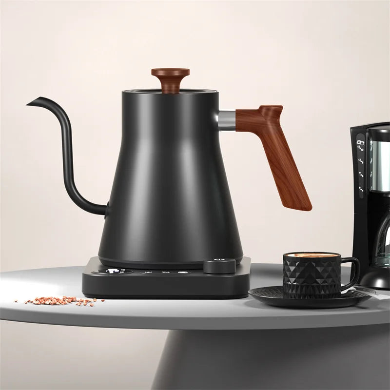 Electric Gooseneck Kettle