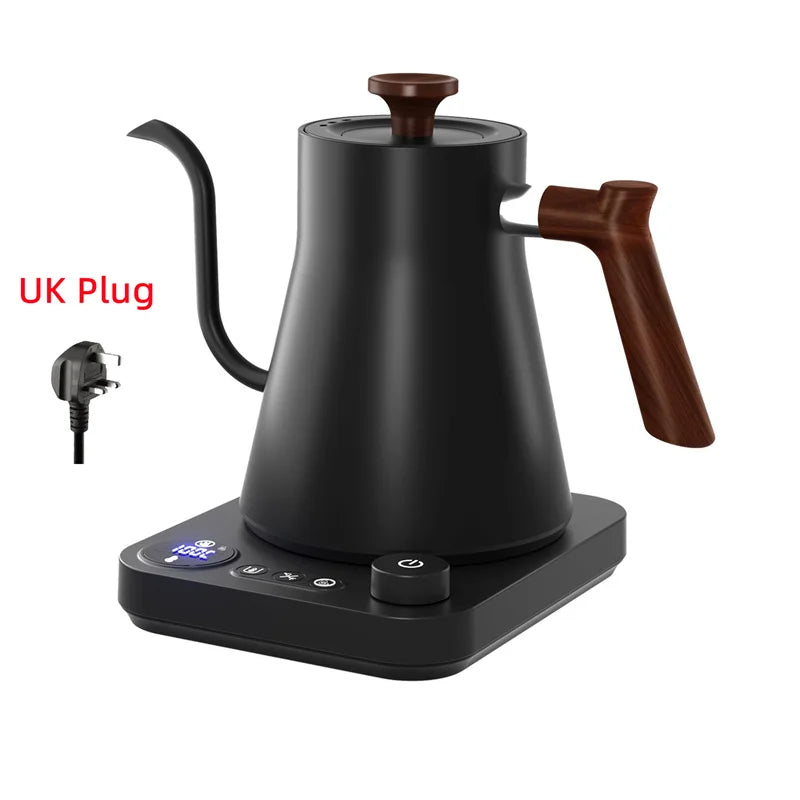 Electric Gooseneck Kettle