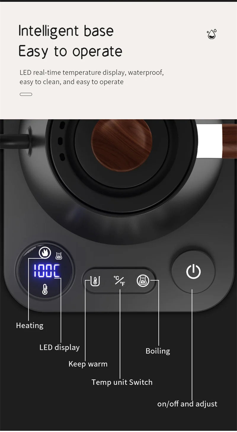 Electric Gooseneck Kettle