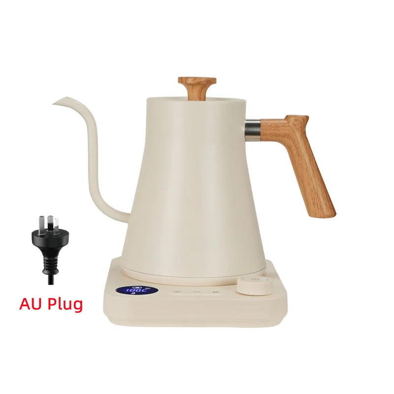 Electric Gooseneck Kettle