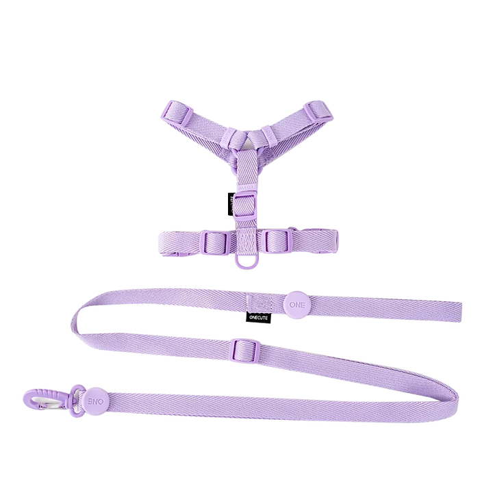Adjustable Pet Harness Set – Reflective Macaron Style for Small Dogs & Cats