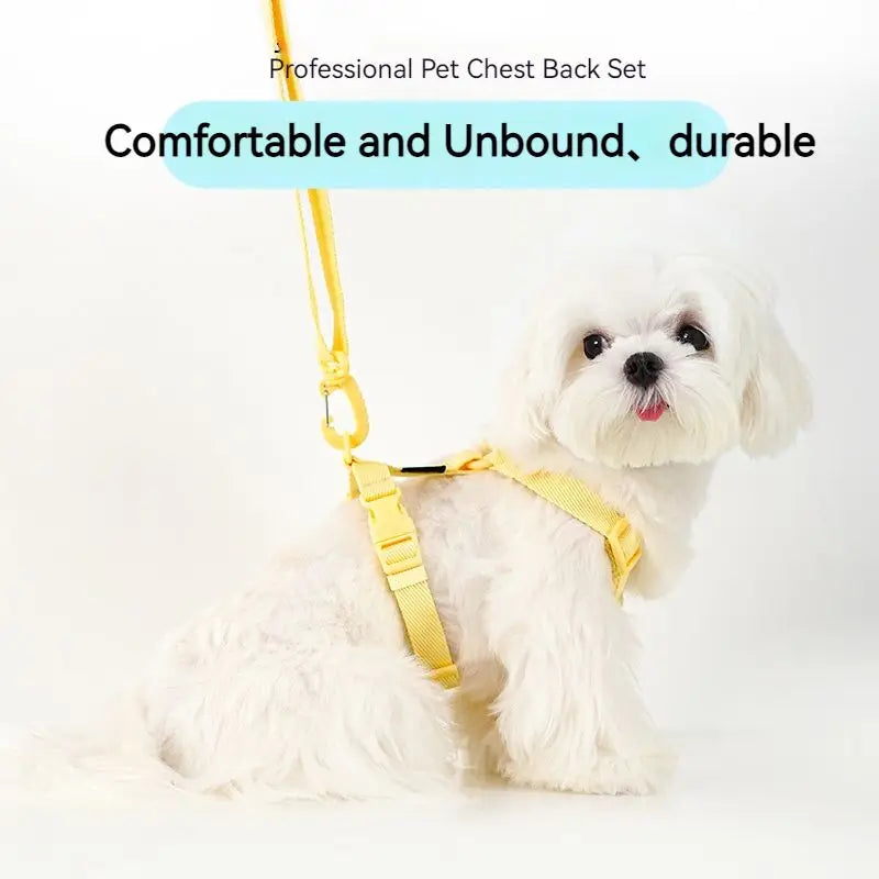 Adjustable Pet Harness Set – Reflective Macaron Style for Small Dogs & Cats