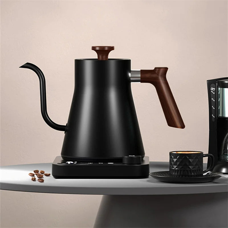 Electric Gooseneck Kettle